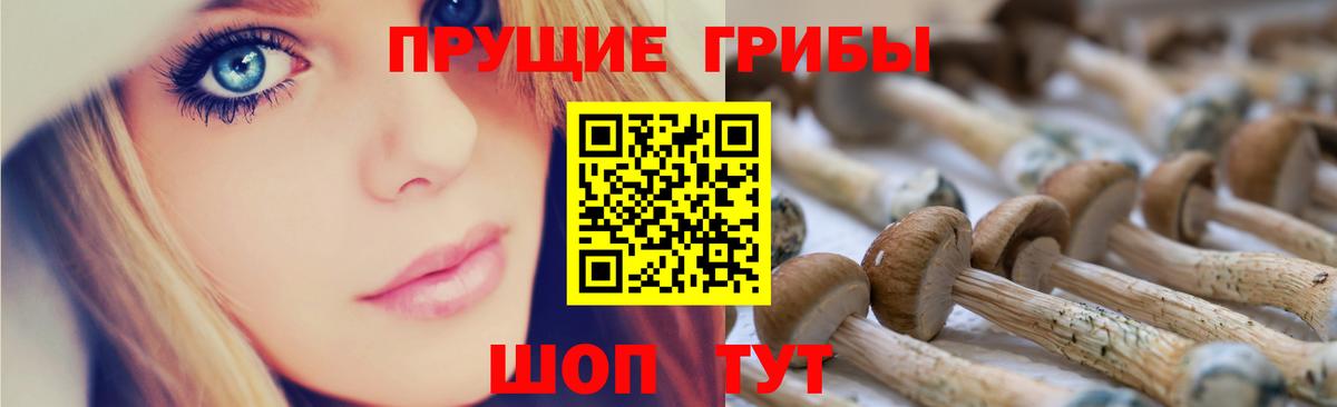 Галлюциногенные грибы GOLDEN TEACHER Чапаевск